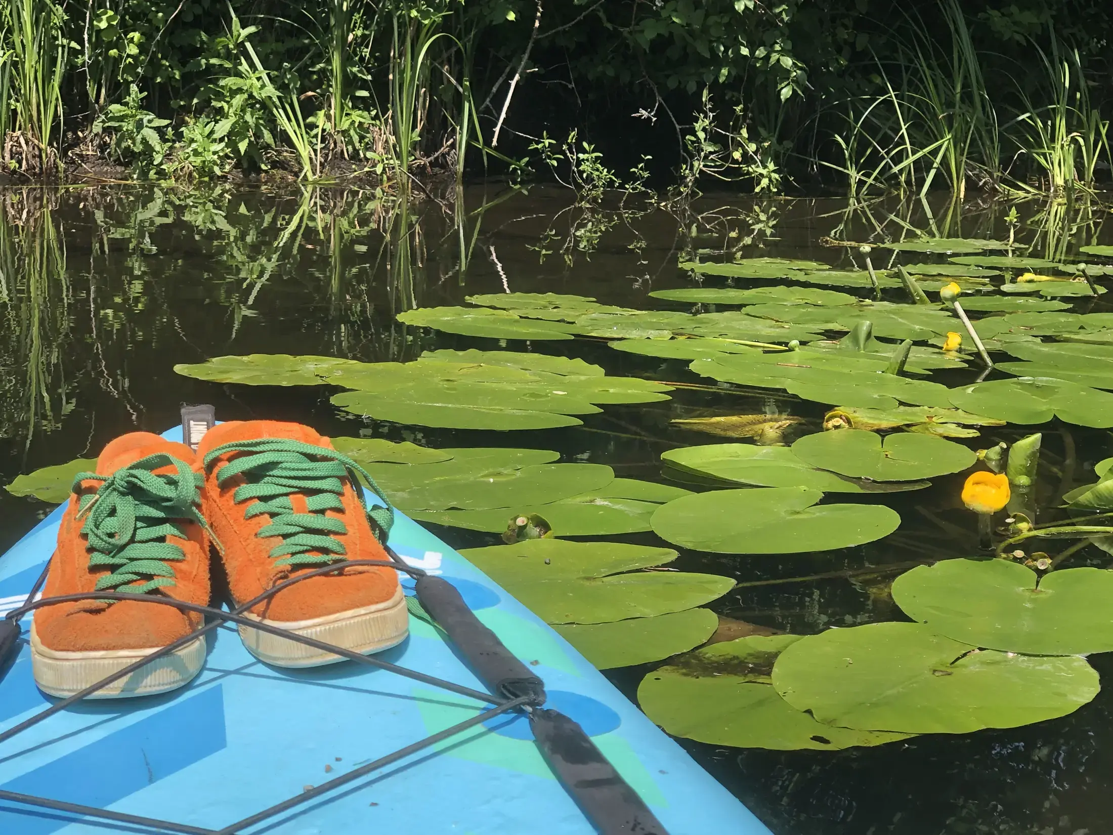 Surfen auf einem SUP
